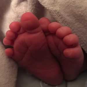 Meet your Posher, Katlyn